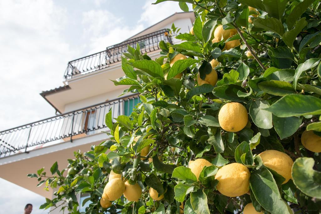 Oleandro Appart hôtel 3*